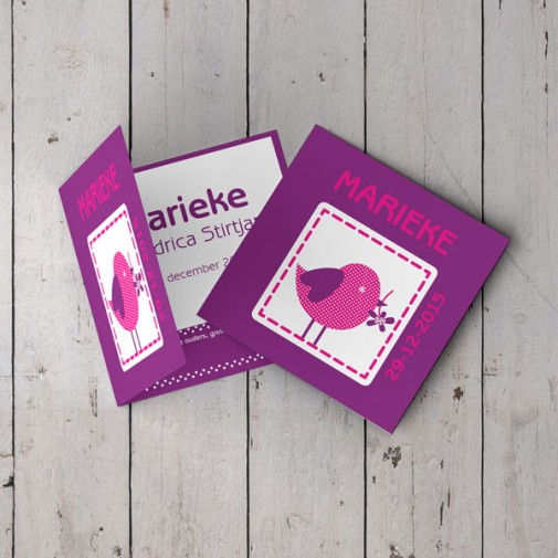 geboortekaartje Marieke