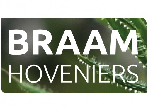 huisstijl braam hoveniers