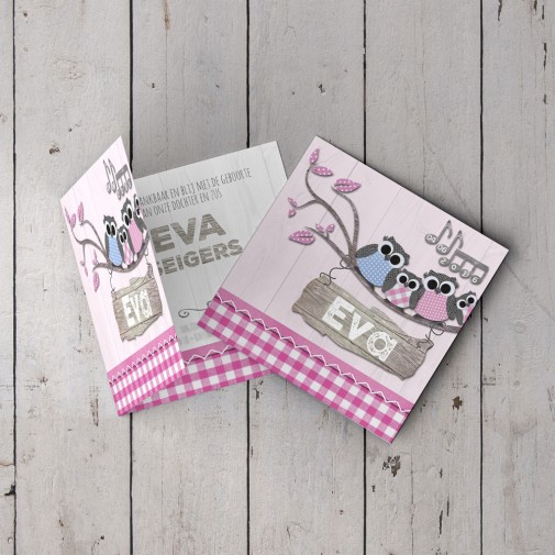 kaartje uiltjesfamilie