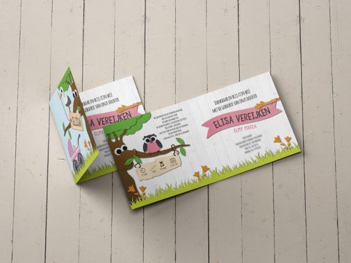kinderwagen geboortekaartje