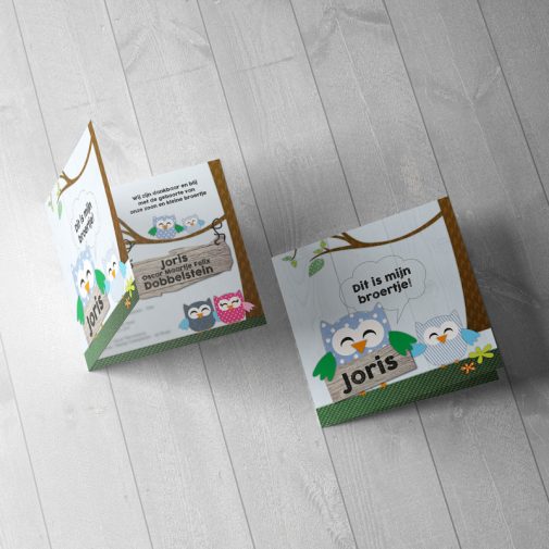 uiltje geboortekaartje Joris